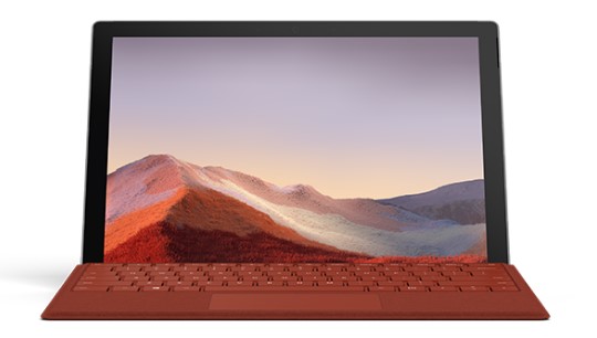 金东清洁和维护 Surface